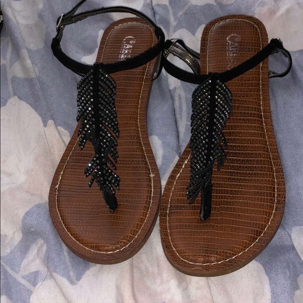 feather decal scandals